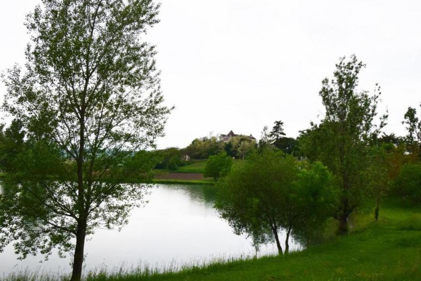 Maison Lamothe - foto 38