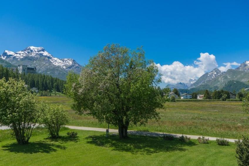 Chesa Flur Sulagl 2 - foto 10