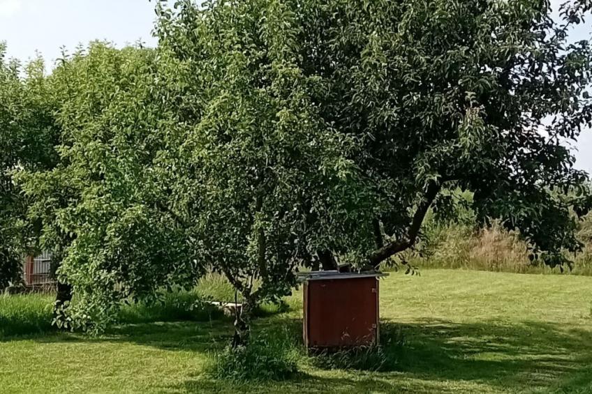 Hof Baethcke WE 2 - foto 8