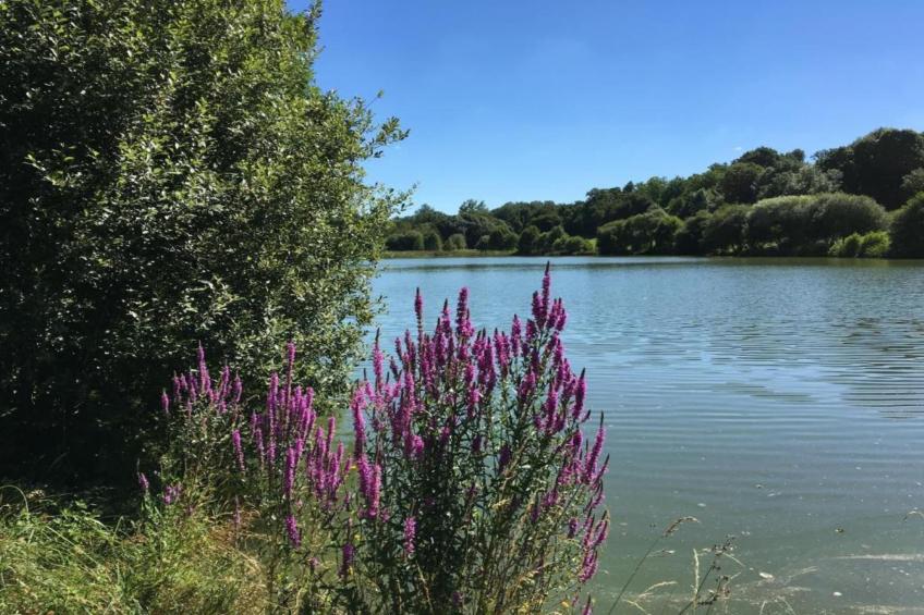 ST LAURENT-DE-LA-SALLE FR-85410-01 - foto 36