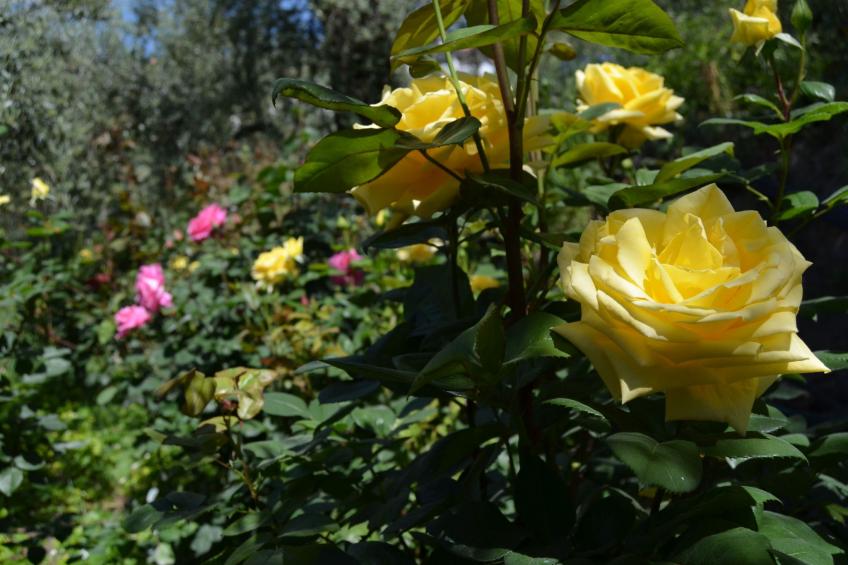 Gemütliches Haus mit toller Aussicht - foto 35