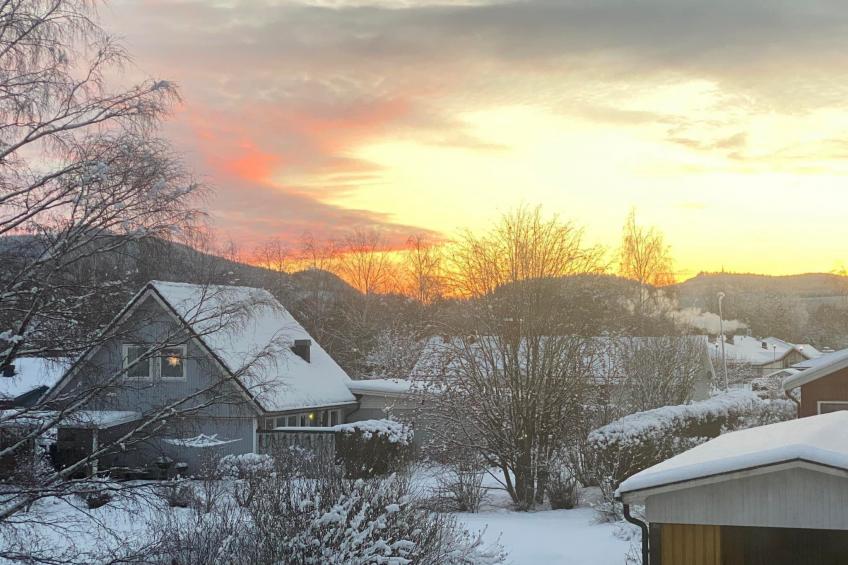Schöne große "Villa Stolle" 9 Personen 2 Bäder - foto 26