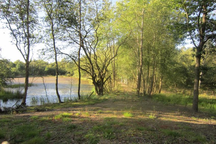 "Wilmer" in SE Jutland - foto 12