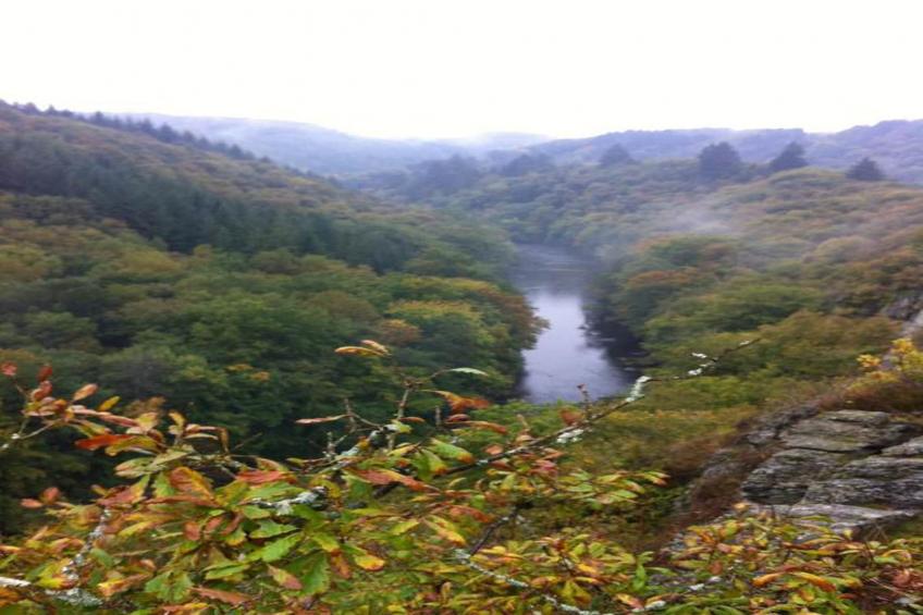 Les Rochettes - Jupiter - foto 30