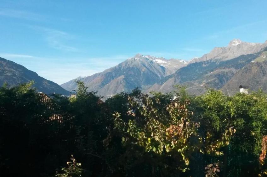 Appartement in Schenna mit Botanischem Garten - foto 14