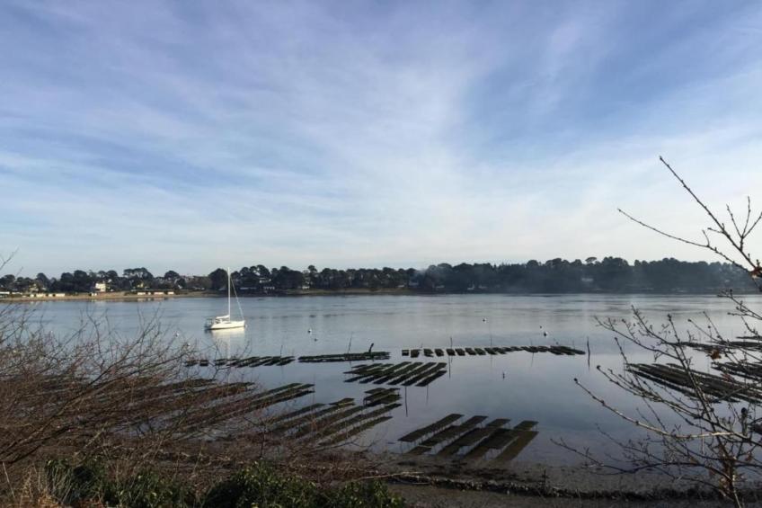 Les Iles du Morbihan - foto 25