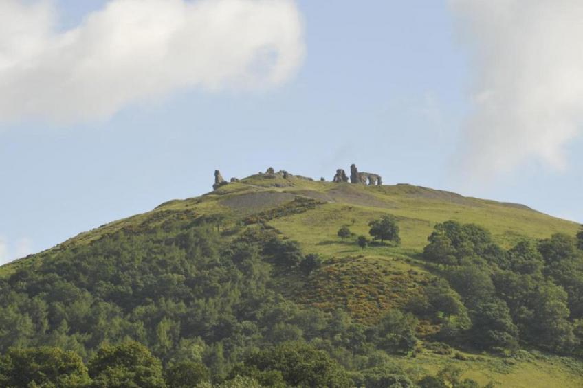 Owl Cottage - foto 18