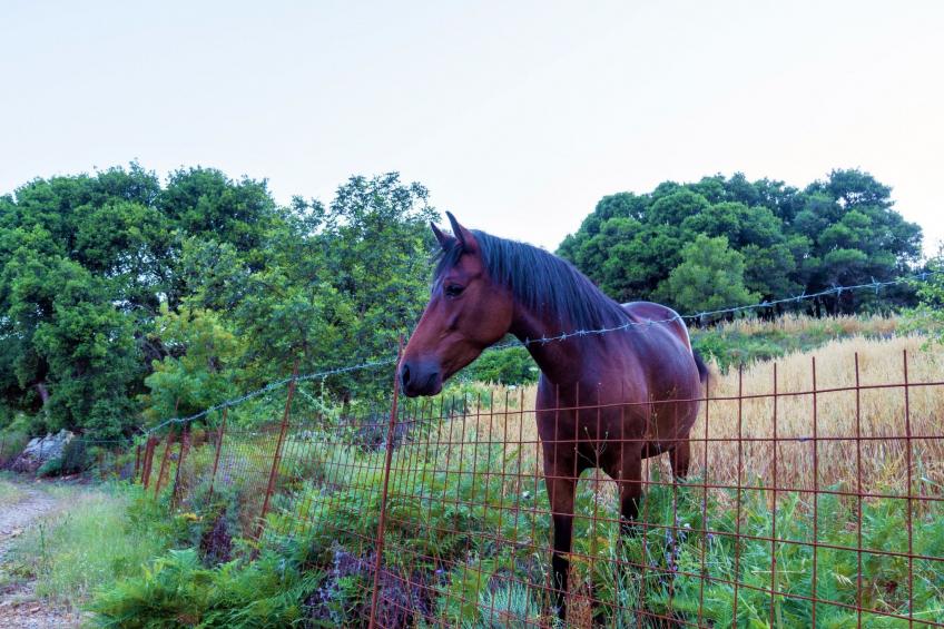 Villa Zeus mit privatem Pool und Jacuzzi - foto 61