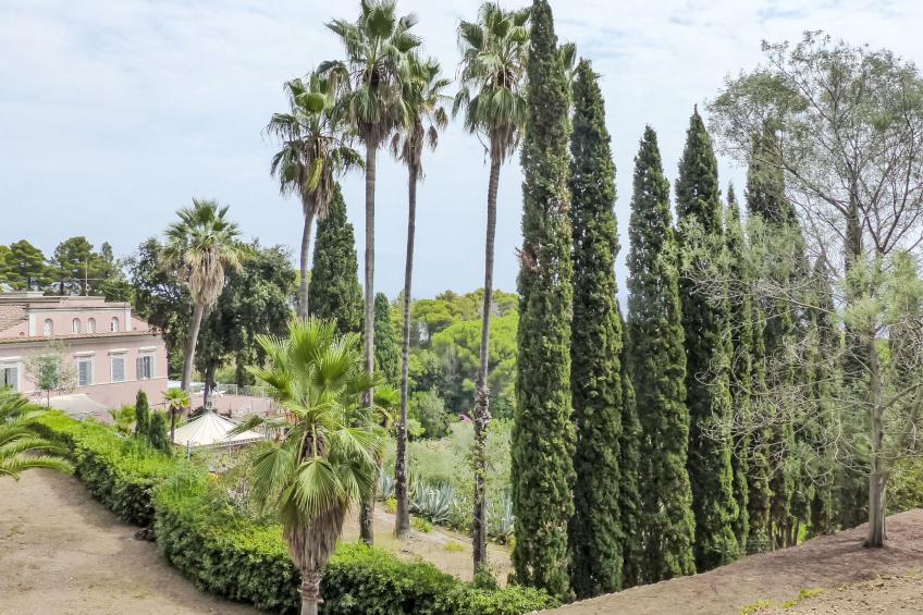 Capo d'Arco - foto 34