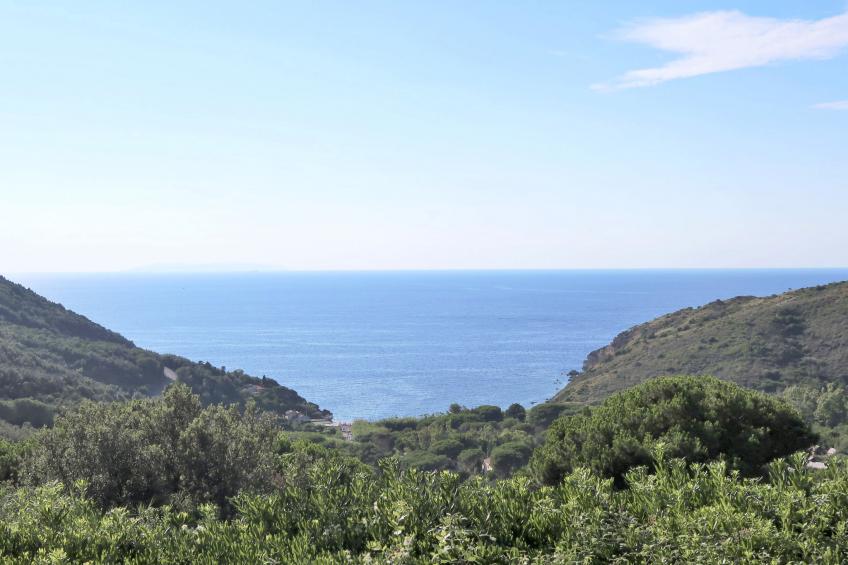 La Paradisa (NIP101) - foto 25