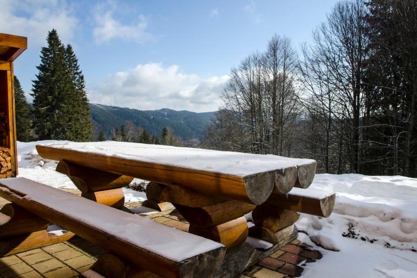 in Feldberg (Schwarzwald) mit Privatem Pool - foto 25