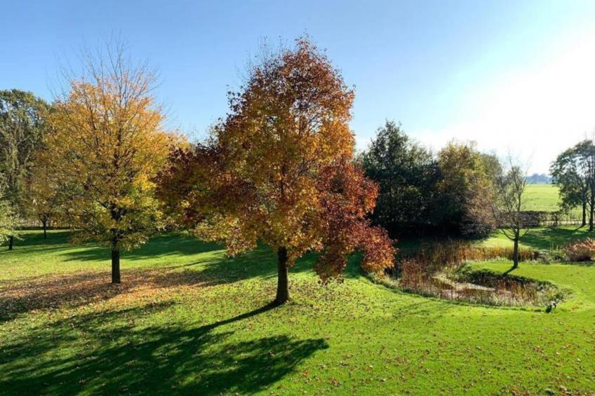 Recreatiepark Tolplas - foto 28