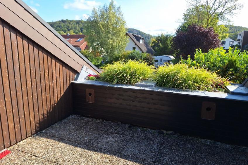 Paradies Hoffmann - foto 15