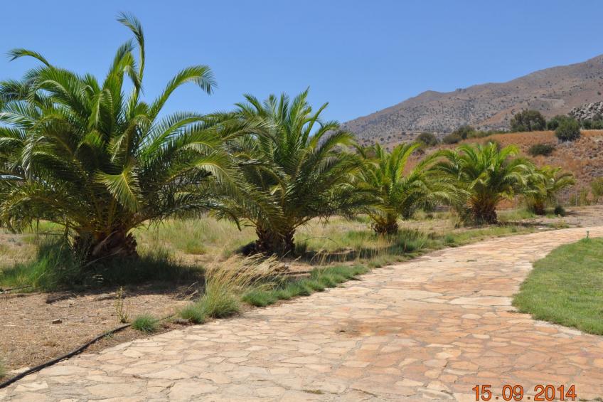 mit Privatpool für 12 Personen in Agia Galini, Kreta - foto 7