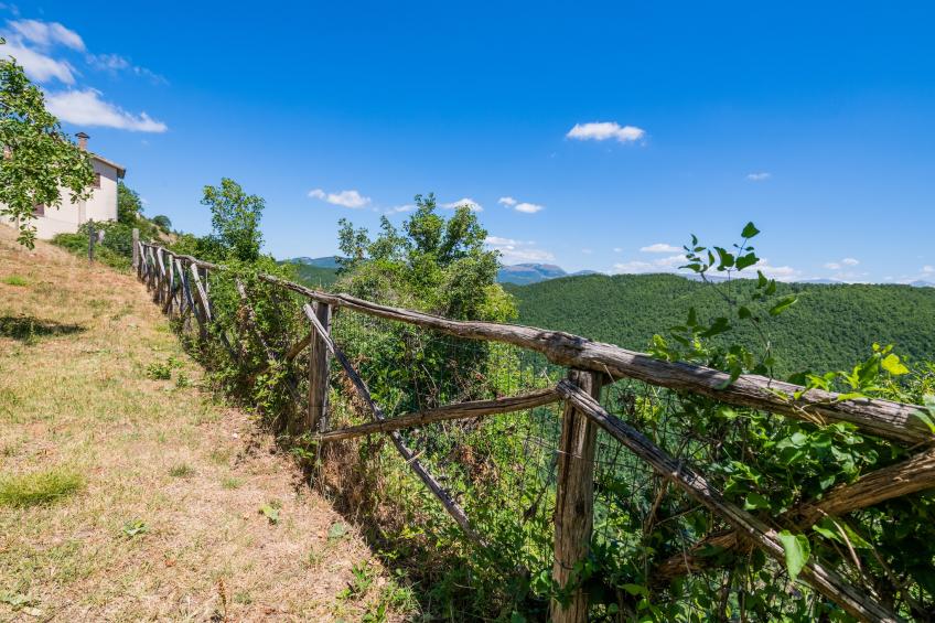 Fonni Verde Due - foto 36