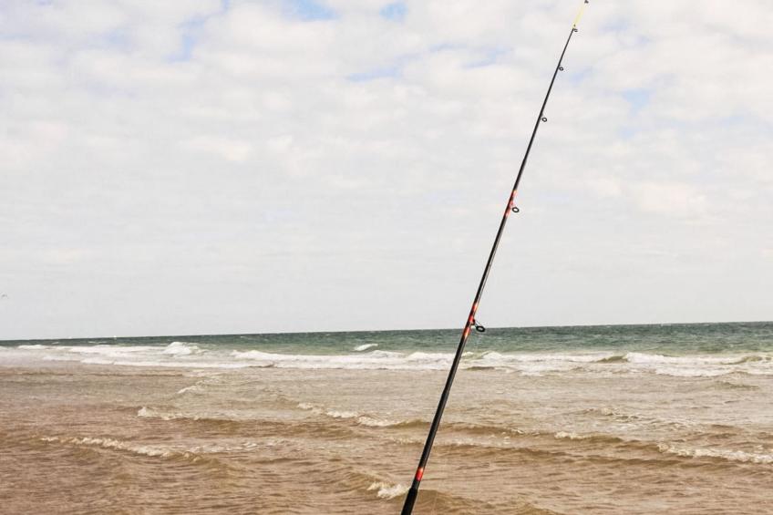 Le Nid d'Été - foto 18