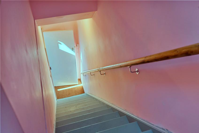 The Nest - foto 7