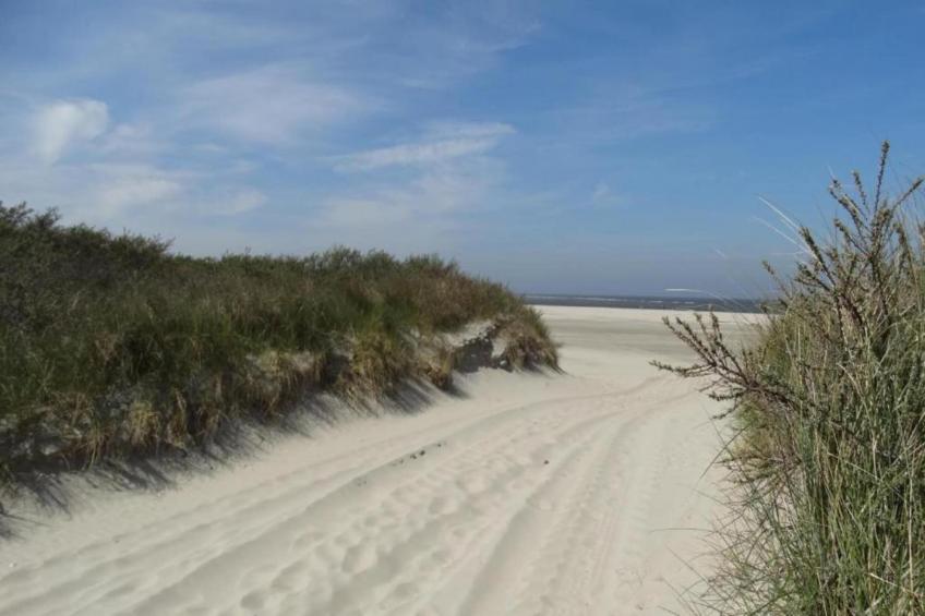 Aquadelta 34 - foto 12