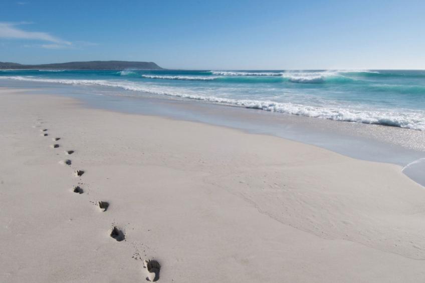 Wohnung "Harbour Bridge" mit Gemeinschaftspool - foto 30