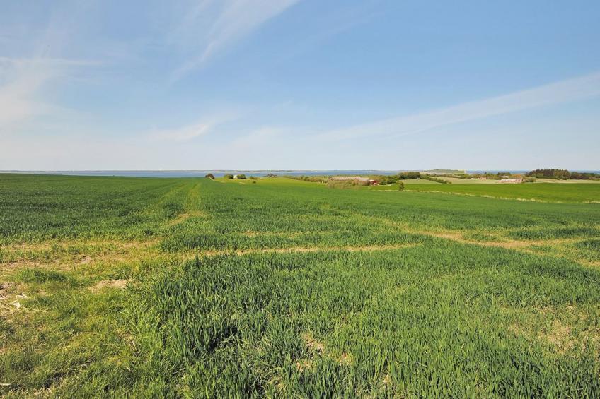 "Alois" - 1km to the inlet in The Liim Fiord - foto 5