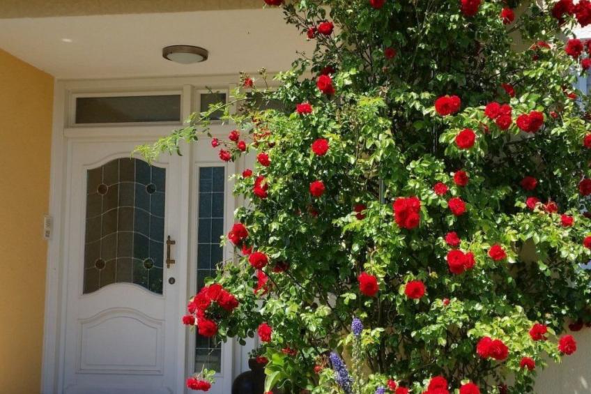 Ferienwohnung - foto 11