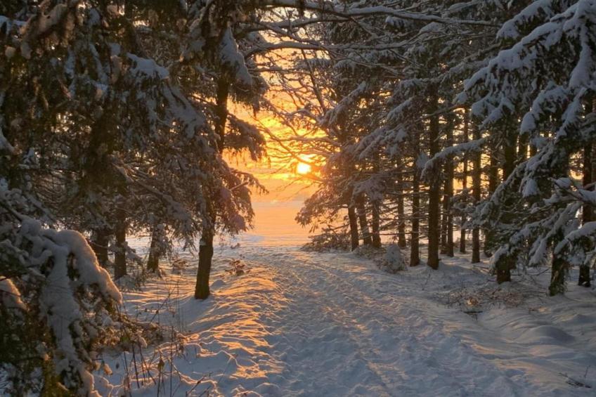 Im Erzgebirge - foto 37