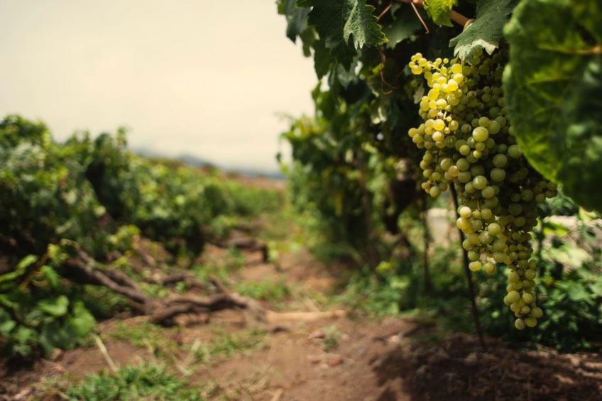 "Aquarius" mit Wasserblick - foto 25