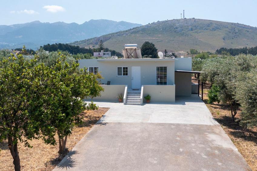 in einem Olivenhain in Strandnähe - foto 32