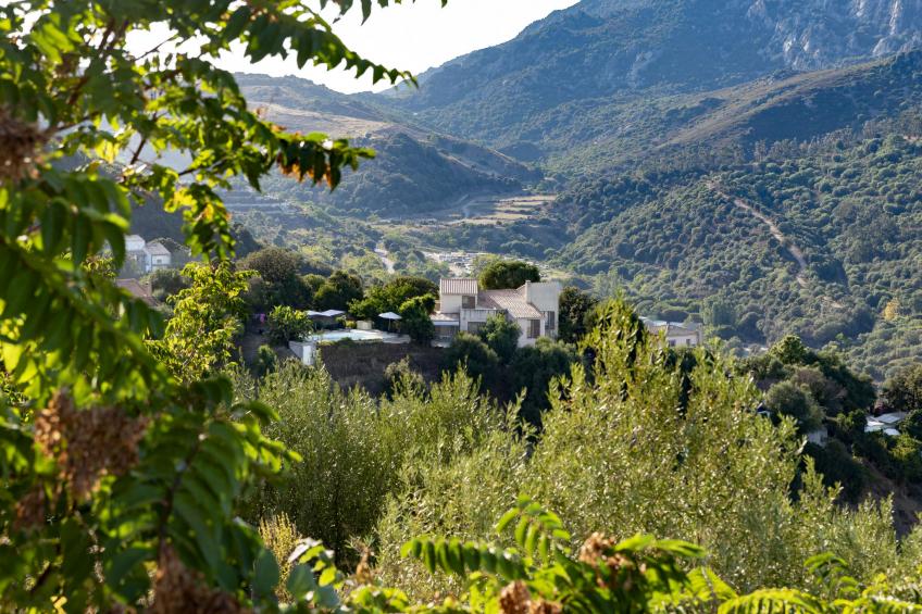 Villa Salario - foto 26