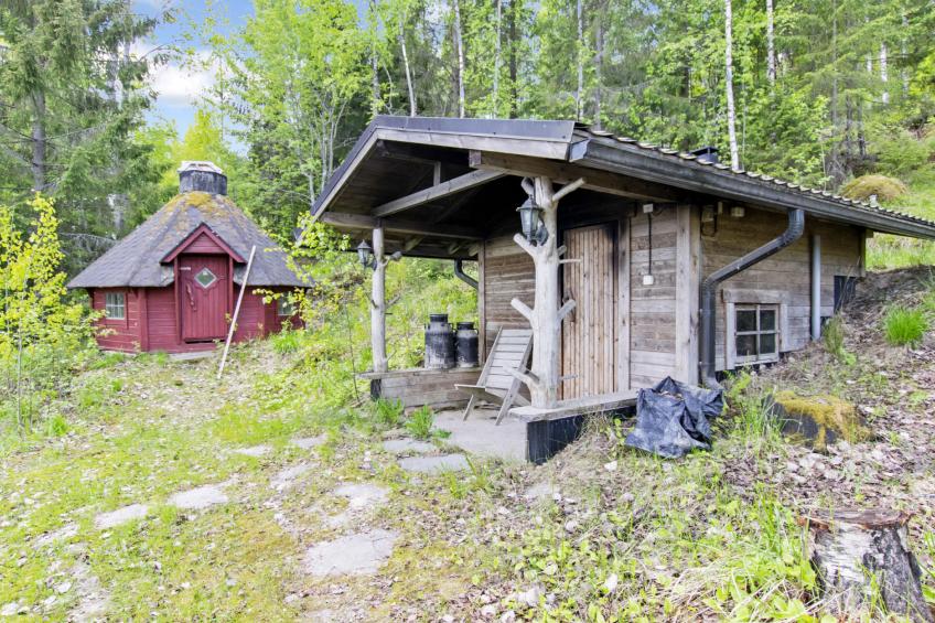 Heinäsorsa - foto 57