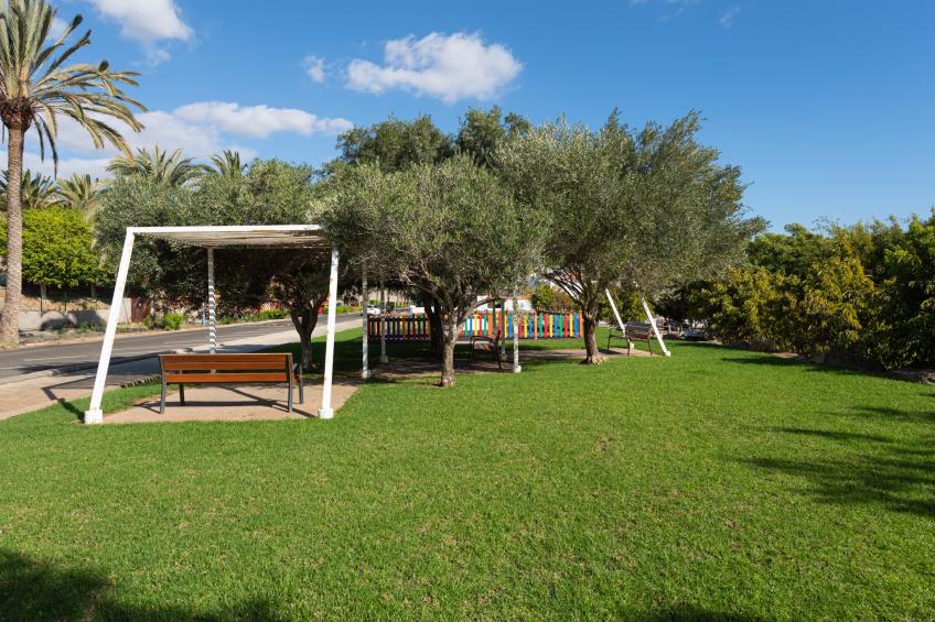 Blue Marlin 5 - foto 31