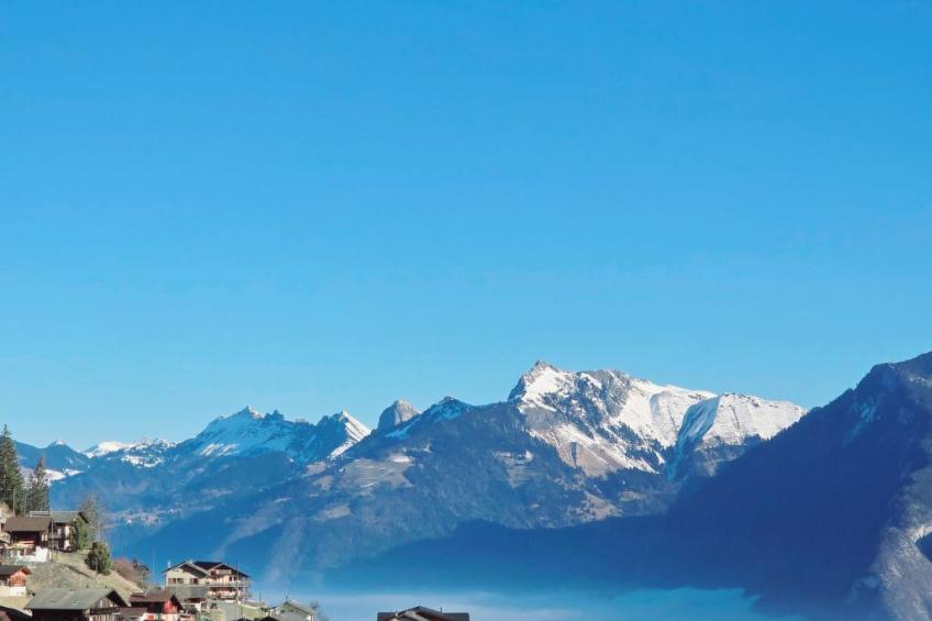 L'Ecrin de Torgon in den Portes du Soleil - foto 25