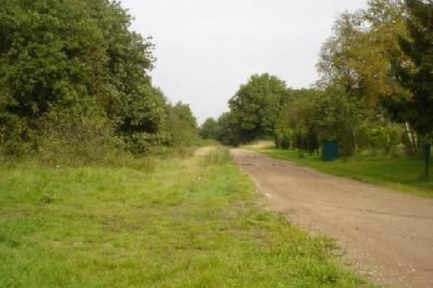 Gemütlicher Ferienhof Loosternest in Vriescheloo - foto 18