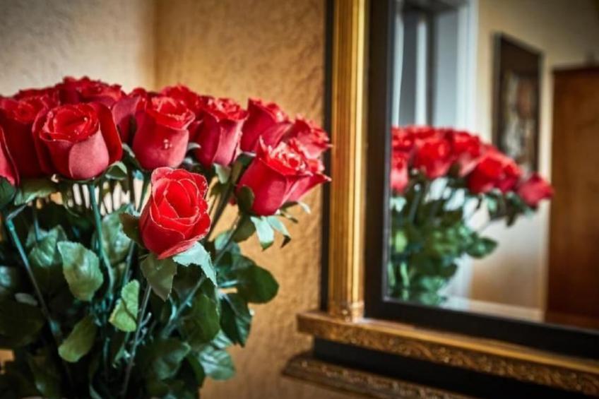 Appartement mit Garten, Grill und Terrasse - foto 26