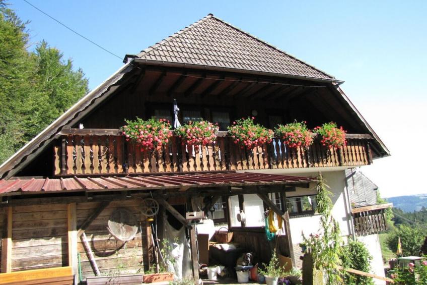 40158 - foto 3