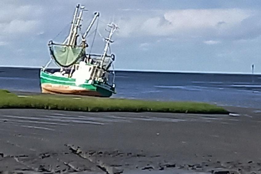 Deichhuus - ruhig am Feldrand in Sackgassenlage - foto 18