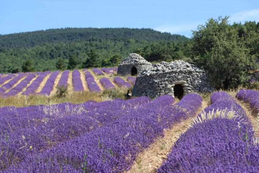 Villa Coda - foto 37