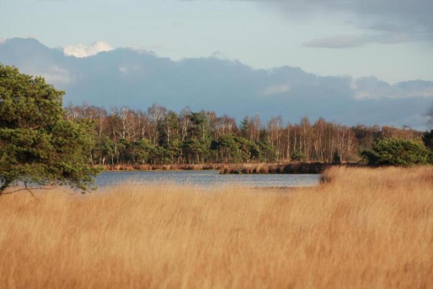 Vakantiepark Latour 6 - foto 37