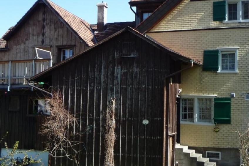 Appenzell House - foto 4