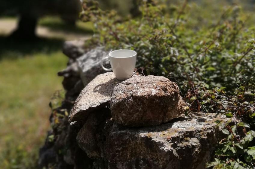 Stazzo mit Garten in Luogosanto - foto 25