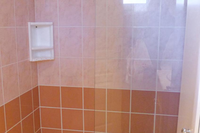 Les écureuils - foto 12
