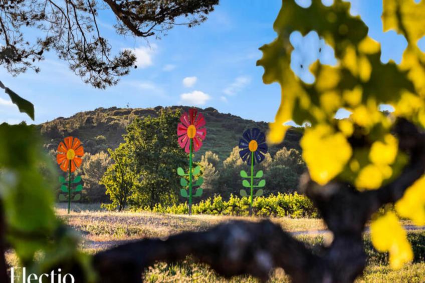 Grande Bastide | Domaine Tour Campanets - foto 37