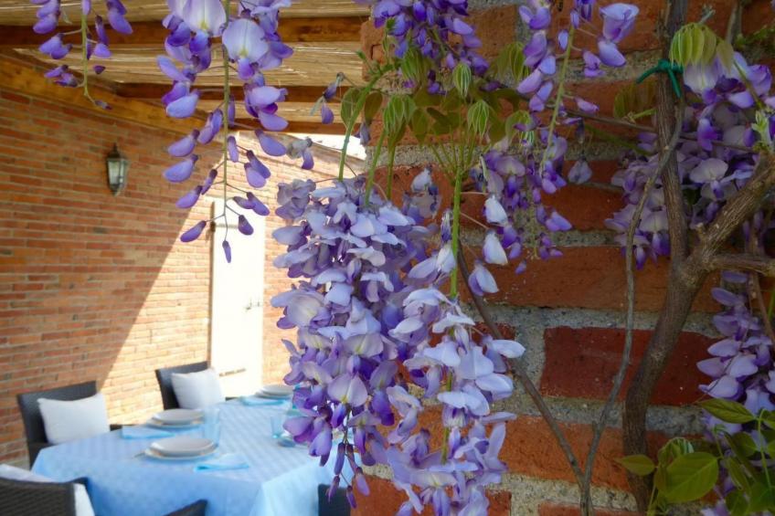 Anwesen "Villa Cerine" mit eigenem Pool - foto 37