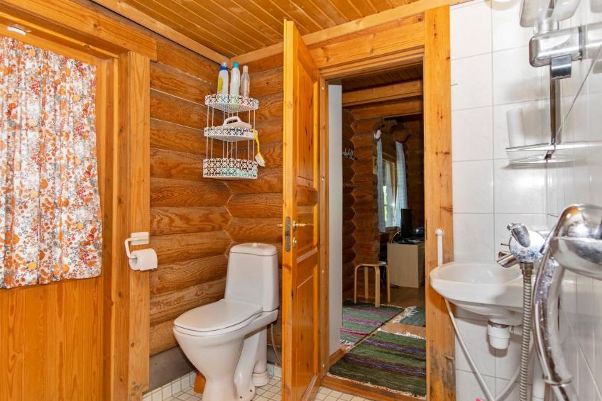 Heinäsorsa - foto 17