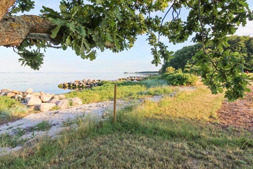 "Sasser" - 10m from the sea in Funen - foto 33