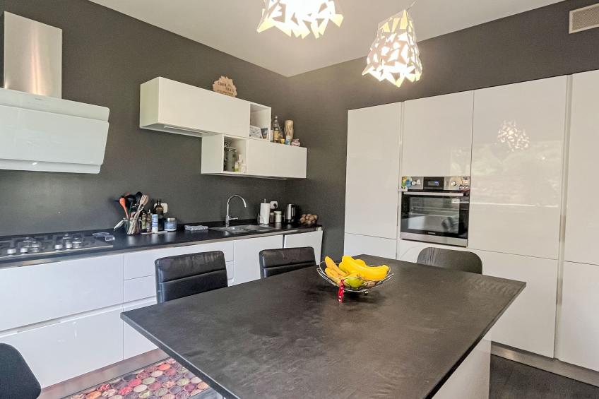 Le radici dell´ulivo - foto 25