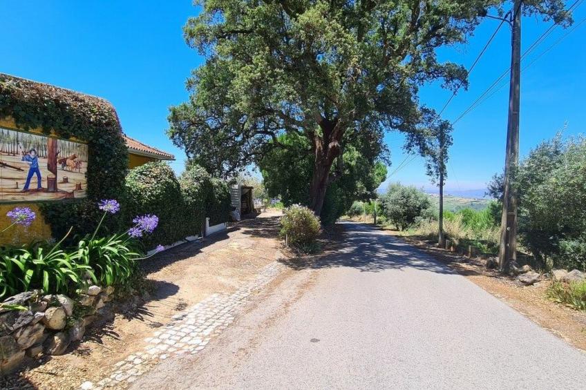 Haus in einem Bauernhof zwischen Weinbergen 2 - foto 17