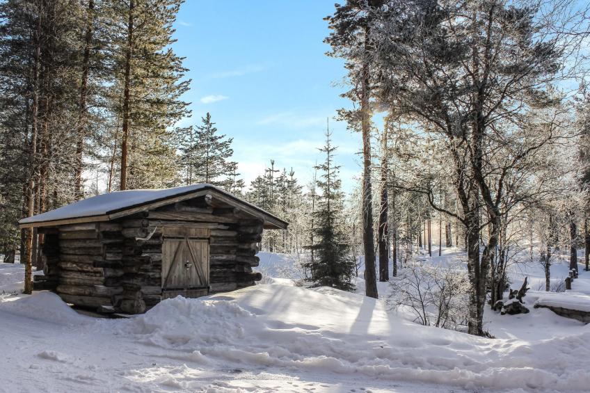 Hamppulahti - foto 3