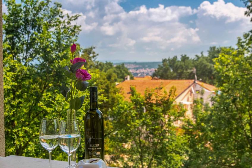 Vakantiewoning met airco - VW-TRTHC - foto 6