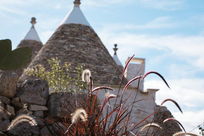 Trulli Petralux in Valle d'Itria - foto 29